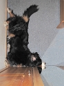 Anton IMG_0338 Kopie.jpg   26.04
